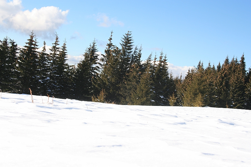 Turbacz 22.03.08 129